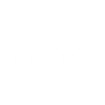 Vision